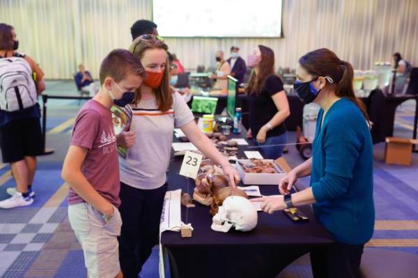 curiosity fair attendees interacting with an anthropological exhibit featuring skulls and other bones