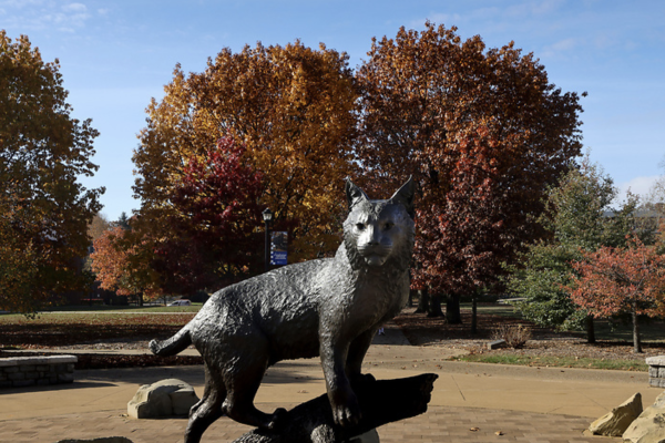 a statue of the UK wildcat among autumnal trees and campus landscape