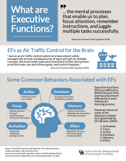 Cover of Executive Function Infographic